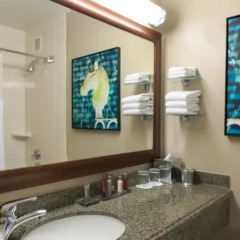 Отель Washington Marriott Wardman Park 4* Стандартный номер с различными типами кроватей фото 3