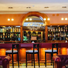 Georgia Palace Hotel & SPA гостиничный бар