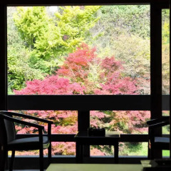 Отель Tarutama Onsen Yamaguchi Ryokan Минамиогуни балкон