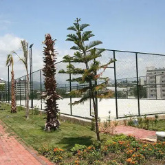 Отель Crown City спортивное сооружение