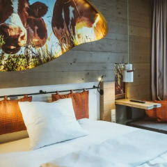 Отель Cocoon Hauptbahnhof 3* Стандартный номер с двуспальной кроватью фото 2