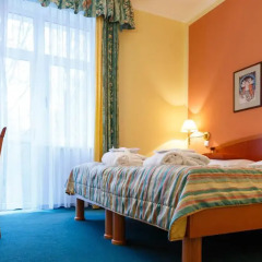 Villa Savoy Spa Park Hotel 4* Стандартный номер с различными типами кроватей фото 15