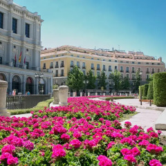 Отель Hostal Central Palace Madrid Испания, Мадрид - отзывы, цены и фото номеров - забронировать отель Hostal Central Palace Madrid онлайн помещение для мероприятий