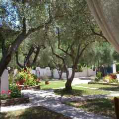 Отель Olive House Ситония фото 8