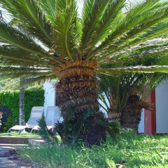 Отель Quinta da Vila фото 8