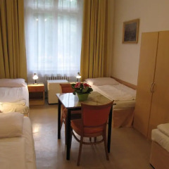 Hotel Jana / Pension Domov Mladeze Стандартный номер с различными типами кроватей (общая ванная комната)