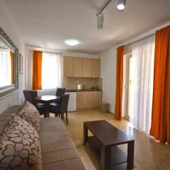 Отель Apartmani Kovačević Апартаменты с различными типами кроватей фото 17