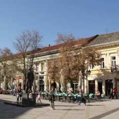 Отель Guest Accommodation Tal Centar Нови Сад
