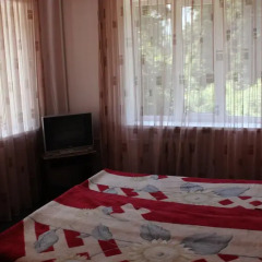 Гостиница Hostel Dombay на Домбае отзывы, цены и фото номеров - забронировать гостиницу Hostel Dombay онлайн Домбай комната для гостей фото 3
