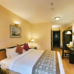 Отель SHANKER 4* Стандартный номер фото 7
