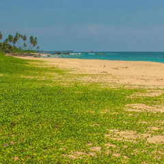Отель Amba Ayurveda Boutique Hotel Шри-Ланка, Пляж Golden Mile - отзывы, цены и фото номеров - забронировать отель Amba Ayurveda Boutique Hotel онлайн пляж фото 2