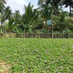 Отель Wadduwa Beach Villa спортивное сооружение