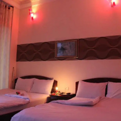 Tulip Xanh Hotel Стандартный номер