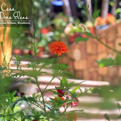 Отель Casa Doña Elena B&B Гондурас, Копан-Руинас - отзывы, цены и фото номеров - забронировать отель Casa Doña Elena B&B онлайн фото 7