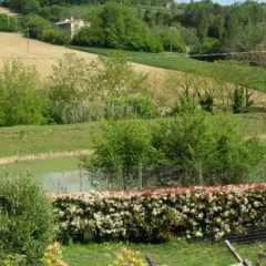 Отель La Pietra Rara B&B Монтоне фото 8