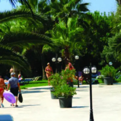 Sural Saray Hotel - All Inclusive фото 5