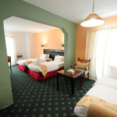 Отель Edom Hotel Иордания, Вади-Муса - 1 отзыв об отеле, цены и фото номеров - забронировать отель Edom Hotel онлайн комната для гостей фото 2