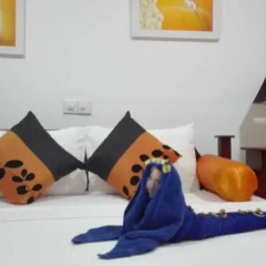 Отель Aura Beach Villa Шри-Ланка, Берувела - отзывы, цены и фото номеров - забронировать отель Aura Beach Villa онлайн комната для гостей фото 5