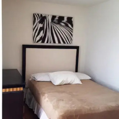 Апартаменты Pittsfield Apartments + Suites Апартаменты с различными типами кроватей фото 12