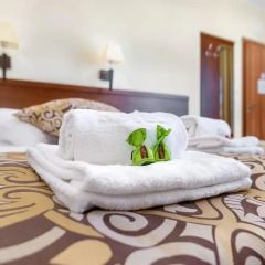 Hotel Zielony 3* Стандартный номер фото 20