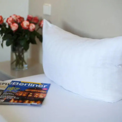 Hotel & Apartments Zarenhof Berlin Prenzlauer Berg 4* Номер Комфорт с различными типами кроватей фото 4