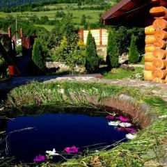 Гостиница Гостинично-оздоровительный комплекс Живая вода Волосянка фото 11