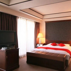Daiichi Grand Hotel Kobe Sannomiya 3* Стандартный номер фото 4