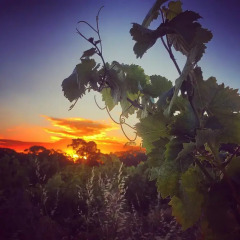Отель Discovery Parks – Barossa Valley пляж