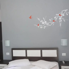 Hotel Summer Dream 3* Стандартный номер с различными типами кроватей фото 6