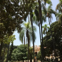 Отель Casa Rosa Италия, Палермо - отзывы, цены и фото номеров - забронировать отель Casa Rosa онлайн пляж