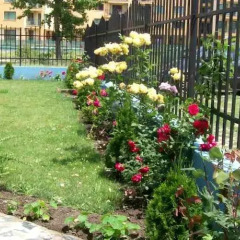 Отель Violet Garden Apart Complex Солнечный берег