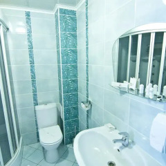 Гостиница «Аэропорт» 3* Люкс с различными типами кроватей фото 25