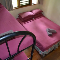 Отель Colo-I-Suva Rainforest Eco Resort 3* Номер категории Эконом фото 9
