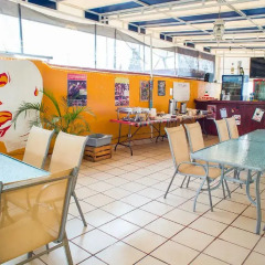 Отель Hostal Amigo Suites Кровать в женском общем номере фото 3
