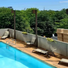Отель Best Western Primrose Hotel Downtown Канада, Торонто - отзывы, цены и фото номеров - забронировать отель Best Western Primrose Hotel Downtown онлайн бассейн