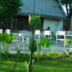 Отель Bellevue Bungalow фото 8