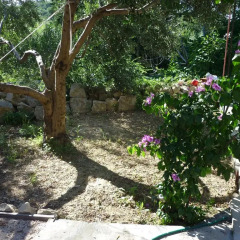Апартаменты Nature Apartment in Split фото 6