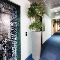 Отель ibis Styles Roma Vintage (Opening February 2019) интерьер отеля фото 2
