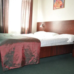 Hotel Albatross 3* Улучшенный номер разные типы кроватей фото 3