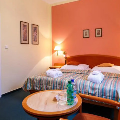 Villa Savoy Spa Park Hotel 4* Стандартный номер с двуспальной кроватью фото 4