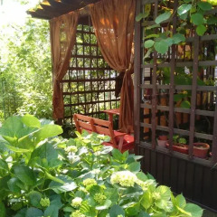 Гостиница Letniye Domiki Vacation Home фото 18