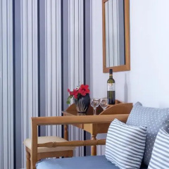 Santellini Hotel удобства в номере