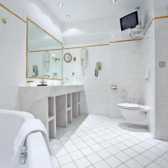 Hotel Regina 4* Номер Делюкс с двуспальной кроватью фото 4