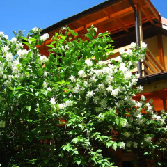 Отель Guest Complex Sosny Светлогорск фото 5