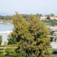 Miramare Hotel