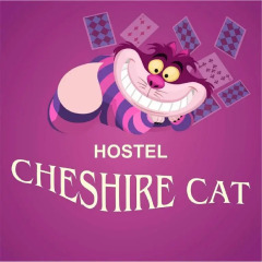 Cheshire Cat Hostel Кровать в общем номере фото 23