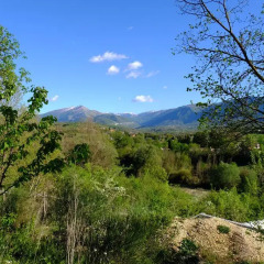 Отель L'Acero Campestre Читтадукале фото 4