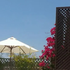 Отель Riad Azza Марокко, Марракеш - отзывы, цены и фото номеров - забронировать отель Riad Azza онлайн
