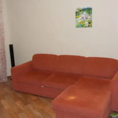Апартаменты Apartment Sportivnaya Ulitsa комната для гостей фото 5