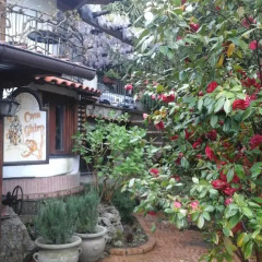 Отель Agriturismo La Casa Del Ghiro Пимонт фото 4